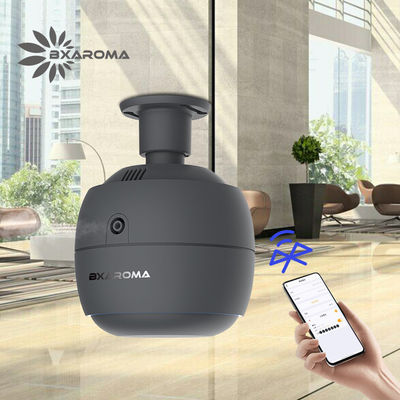 인기있는 주문 제작된 상업적 Usb 아로마 확산기 전기 분무기